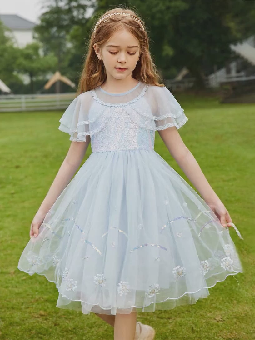 Weiche Netzschalärmel Kinderkleid Mädchen Pailletten Stickerei Prinzessin Freizeit Partykleid